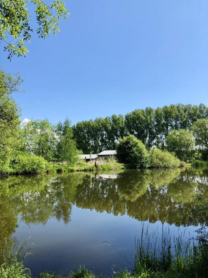 Koza i Brzoza, domki z kontenerów Piechowice (Karkonosze) Exterior foto