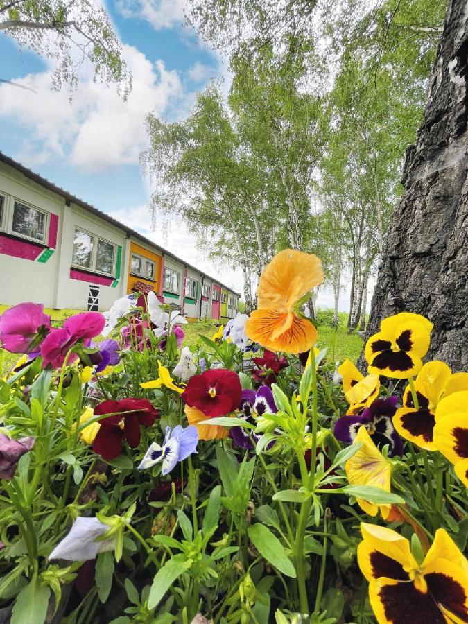 Koza i Brzoza, domki z kontenerów Piechowice (Karkonosze) Exterior foto
